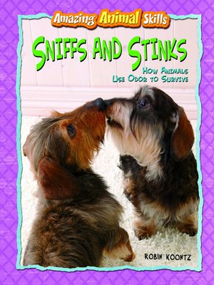 cover image of Sniffs and Stinks